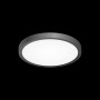Потолочный светильник Бейсик CL738240V