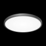 Потолочный светильник Бейсик CL738401V