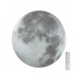Настенно-потолочный светильник Moon 3084/EL
